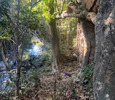 Koah House | Koah Private hideaway with creek access