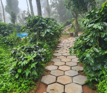 Kodaikanal House | Kodai Glamping Woods