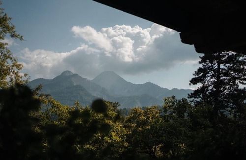 Ledenitzen Apartment | Kogelblick - no dogs allowed - Villa Waidblick