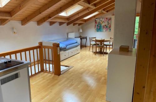 Thun Apartment | Kohlerenschlucht