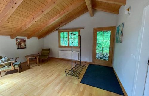 Thun Apartment | Kohlerenschlucht