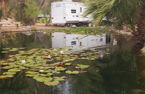 Newberry Springs House | Koi Pond Trailer