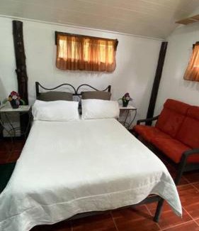 Canton Dota House | Koi's House - Quebradillas de Dota