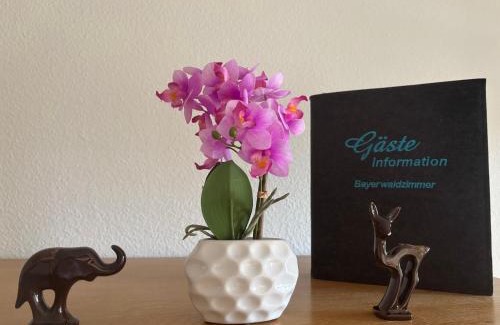 Waldkirchen Apartment | KOMFORTABLES HELLES 2-Zimmer-APPARTMENT
