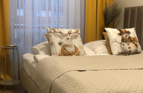 Kielce Apartment | Komfortowe Apartamenty Kielce Klonowa ,ogródek, garaż podziemny, samodzielne wejście na kod 24h