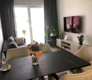 Kielce Apartment | Komfortowe Apartamenty Kielce Klonowa ,ogródek, garaż podziemny, samodzielne wejście na kod 24h