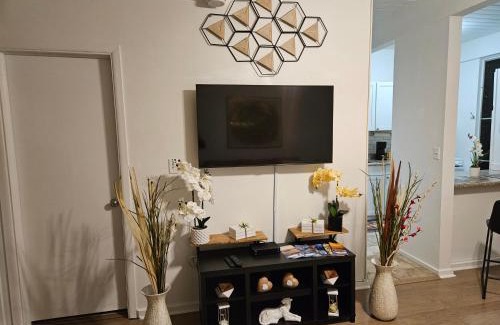 Historic Kailua Village Apartment | Kona Mansions