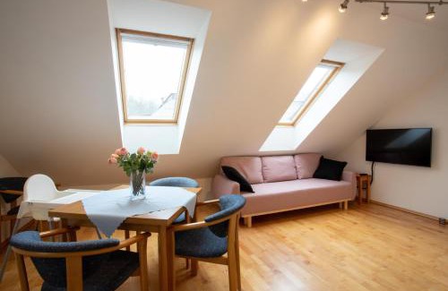Cerny Dul Apartment | Krásný vybavený byt u sjezdovky