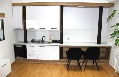 Trencin Apartment | Krásny priestranný slnečný apartmán v centre mesta