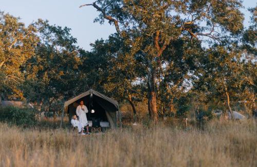 Kruger National Park Other | Kruger Untamed - Satara Plains Camp