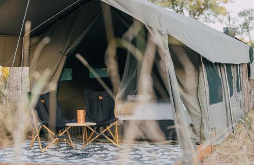 Kruger National Park Other | Kruger Untamed - Satara Plains Camp