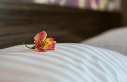 Krekhiv Hotel | Kryve Ozero