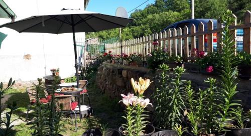 Balta Berilovac House | Kuća Talija