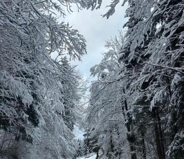 Jasenak Ski Chalet | Kuća za odmor Petra