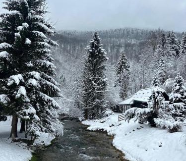 Jasenak Ski Chalet | Kuća za odmor Petra