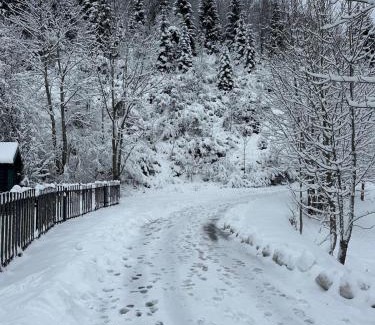 Jasenak Ski Chalet | Kuća za odmor Petra