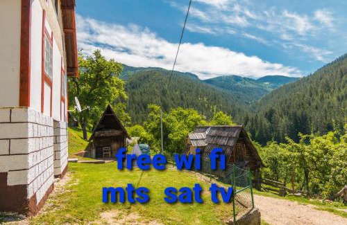 Bajina Basta House | Kuca za odmor ANKA ZAOVLJANKA