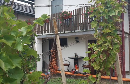 Vinica House | Kuca za Odmor Vinica Breg