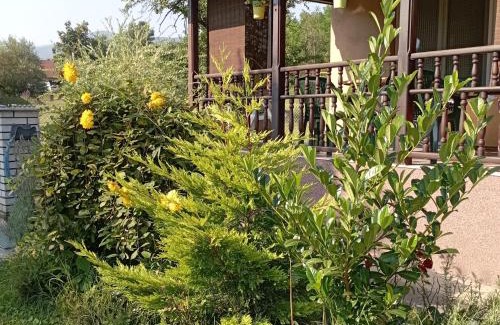 Kraljevo House | Kuca za odmor Zicanka
