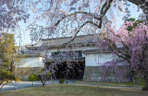 Ukyo Ward House | Kyomachiya Kaede