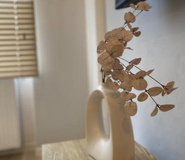 Centrum Apartment | Kyoto Apartment