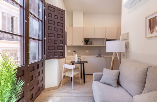 Centro Apartment | Líbere Málaga La Merced