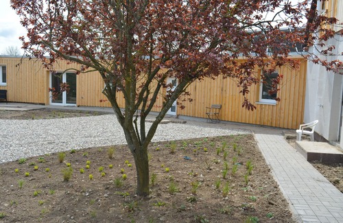 Saal Apartment | Lütt Henna ist Perfekt für Paare und Junge Familien