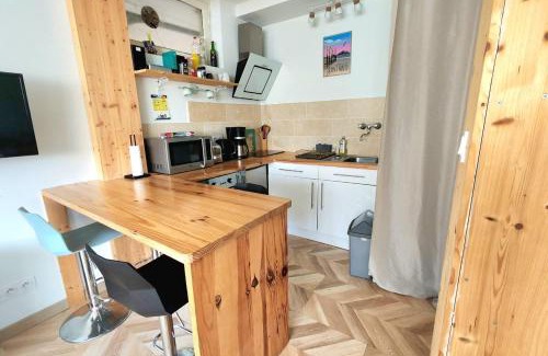 Rocabey - Alsace - Gare Apartment | L'ambraga 1 bedroom - near beach