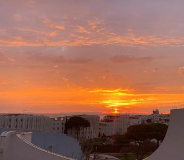 Le Couchant Apartment | L'Anémone Roof Top Parking Clim Wi-Fi - ROSSIconciergerie - Linge inclus