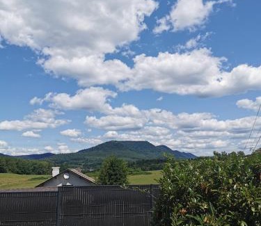 Moyenmoutier House | L'ancre jaune