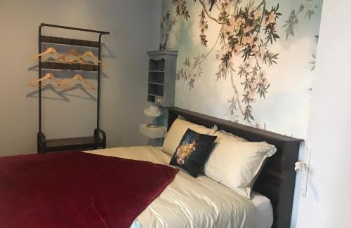 Romans-sur-Isere Apartment | L'Apothicaire, centre historique, climatisation, fibre, ESS, rez-de-chaussée, BedinShop