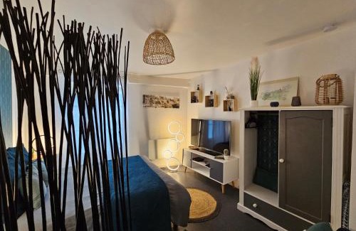 Le Mans Apartment | L'Appart'Mans -charmant-studio-centre ville-2 pers