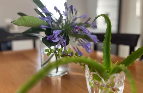 Tulbagh House | L'Bloom Country Cottage