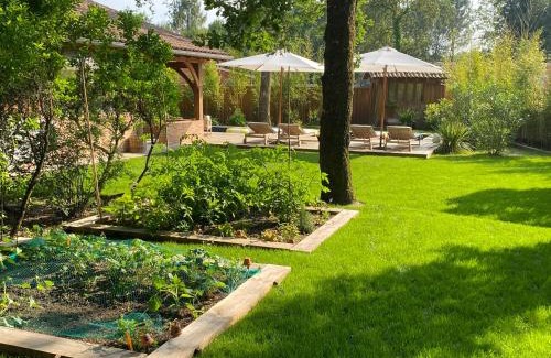 Belin-Beliet Bed & Breakfast | L Esprit du Cap