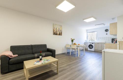 Narrosse Apartment | L'Ilot Narossais 10 - idéal curiste - clim - proche Dax