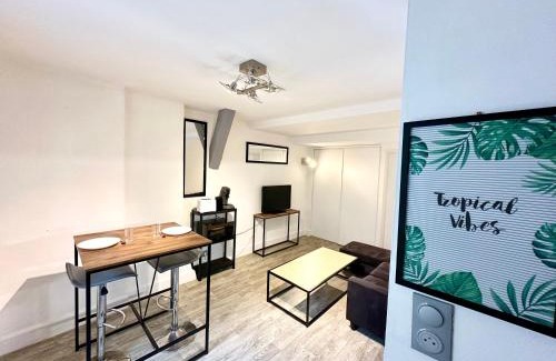 Mont-de-Marsan Apartment | L'Odyssée de Gourgues - Central - Wifi