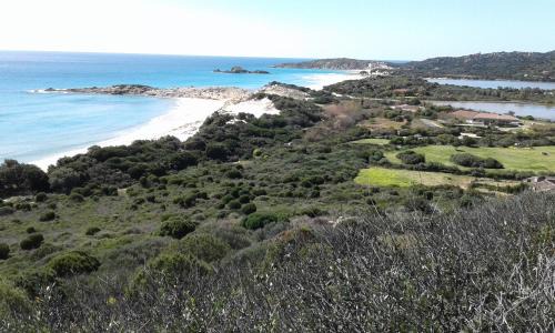 Domus de Maria Bed & Breakfast | L'Onda Blu