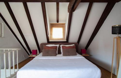 Krutenau Apartment | L'Or - Typical Alsacian apartment in Strasbourg