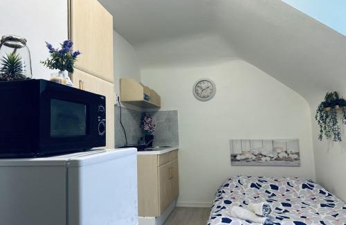 Poincare Apartment | l'orchidée