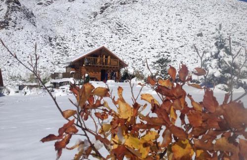 Cuyo Cabin | La Araucaria