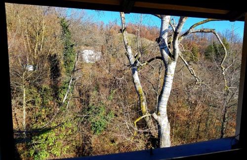 Marola Apartment | La Balotta Sport-Natura-Relax