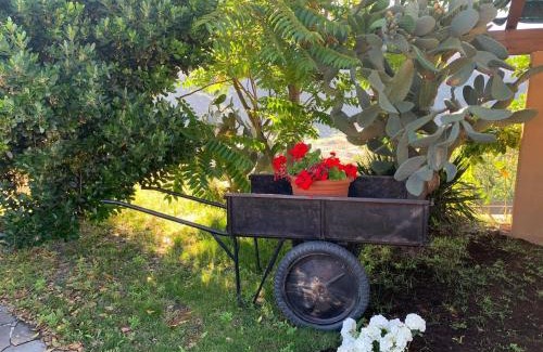 Ventimiglia House | La Beverita