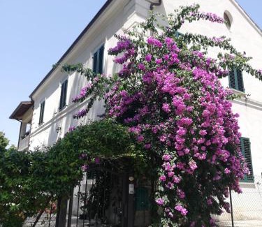 Macerata Bed & Breakfast | La Bouganville