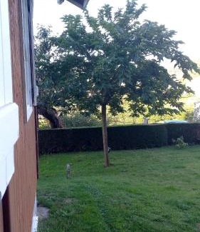 Esteiro House | La cabaña