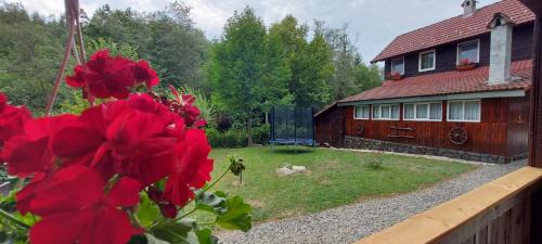 Porumbacu de Jos House | La cabana bunicului