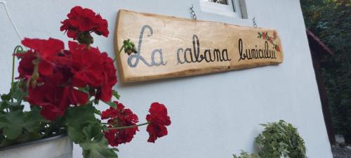 Porumbacu de Jos House | La cabana bunicului