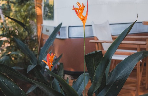 Samara House | La Caravana