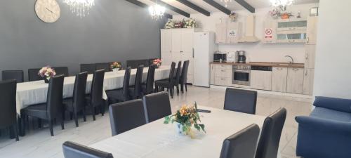 Avrig House | La Casa Bianca