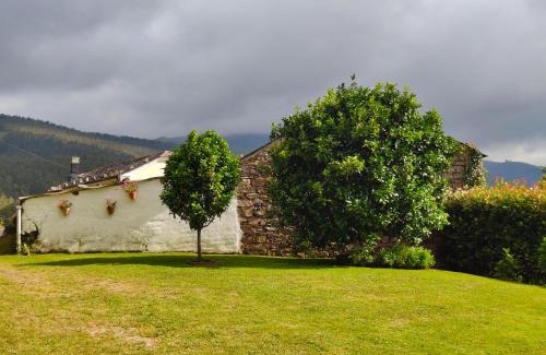 Arancedo House | La casa de atrás