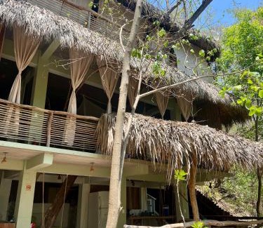 Arroyo Cruz House | La casa de los árboles frente a la playa con alberca